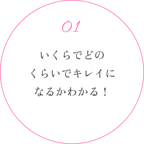 いくらでどのくらいでキレイになるかわかる！